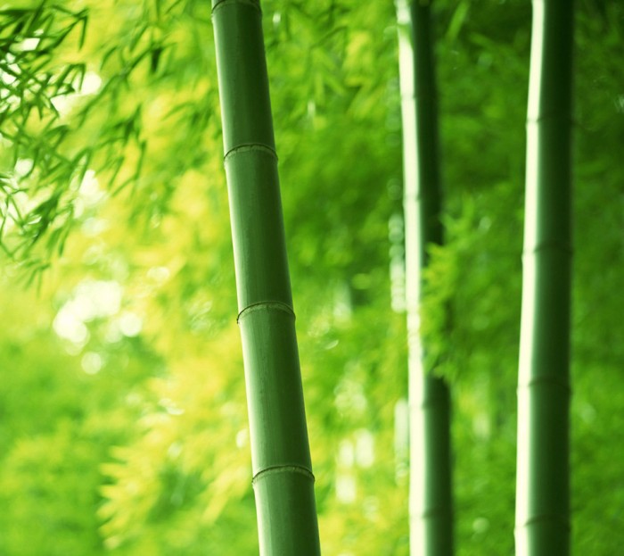 竹制品行業(yè)